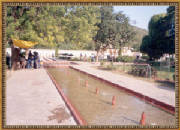 m143.jpg